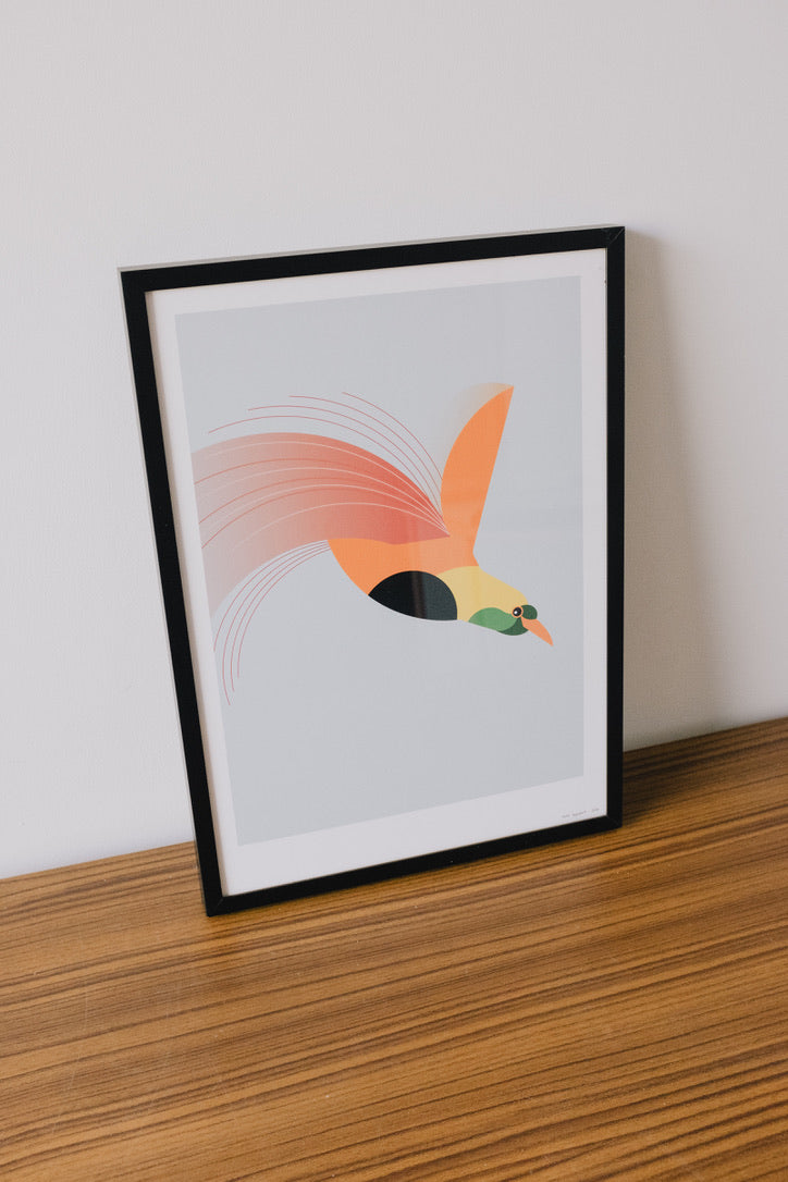 Bird of Paradise - BUROMURO