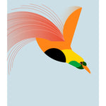 Bird of Paradise - BUROMURO