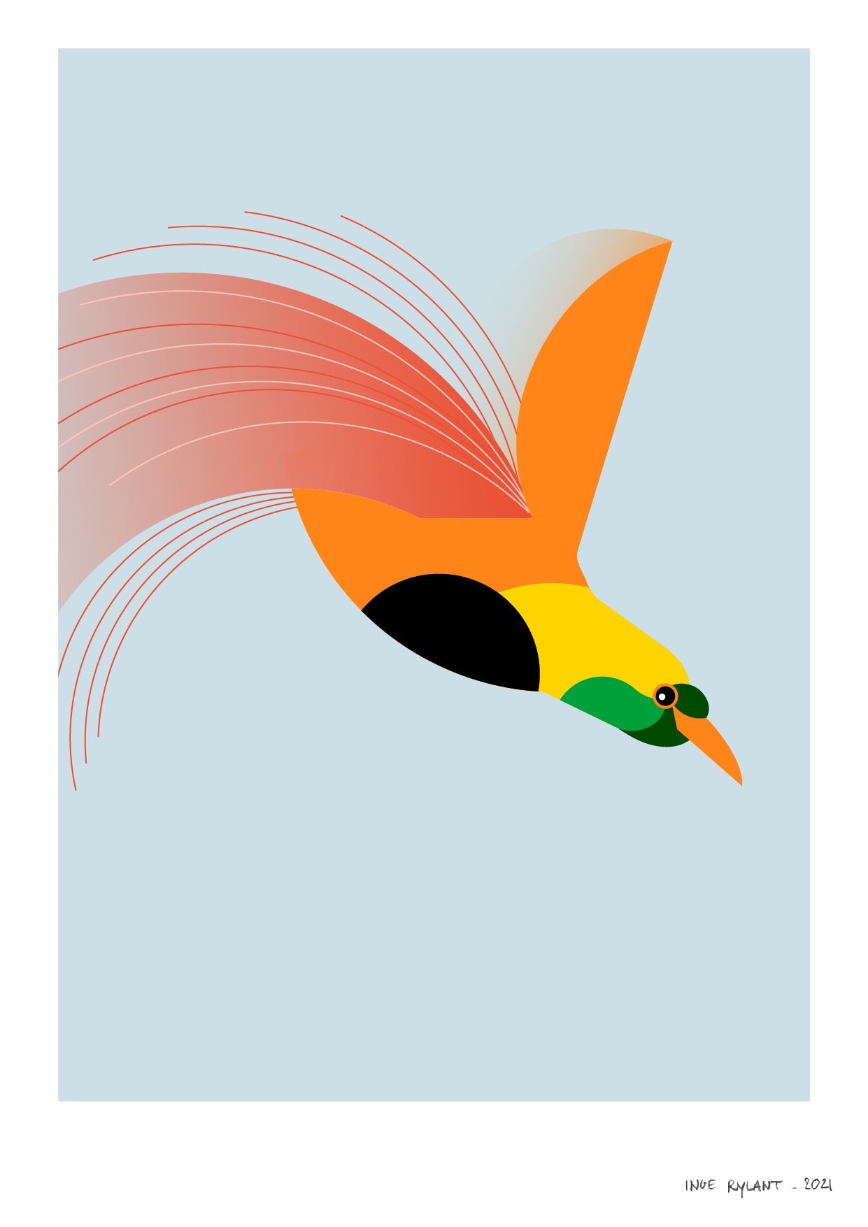 Bird of Paradise - BUROMURO