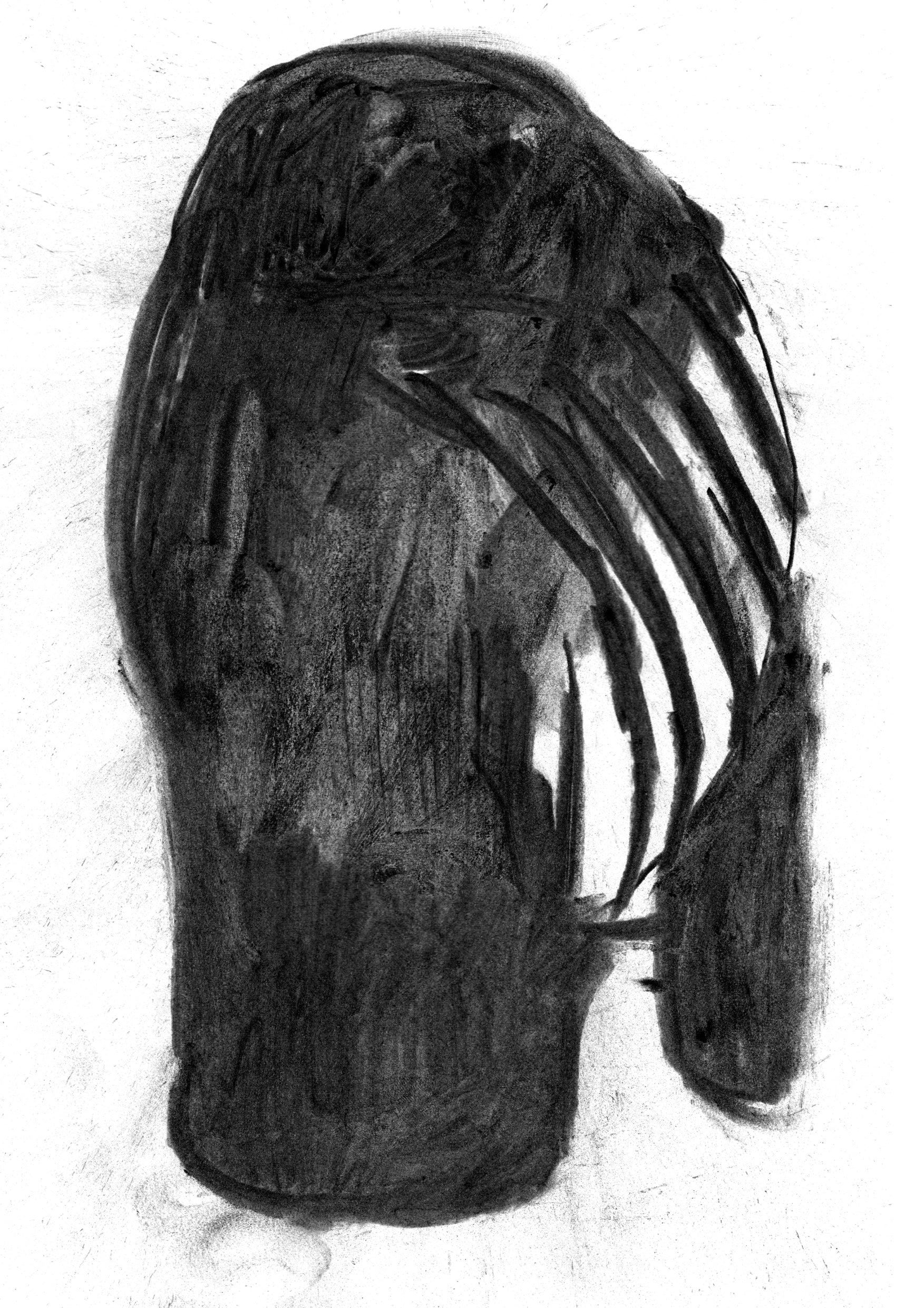 Head - BUROMURO