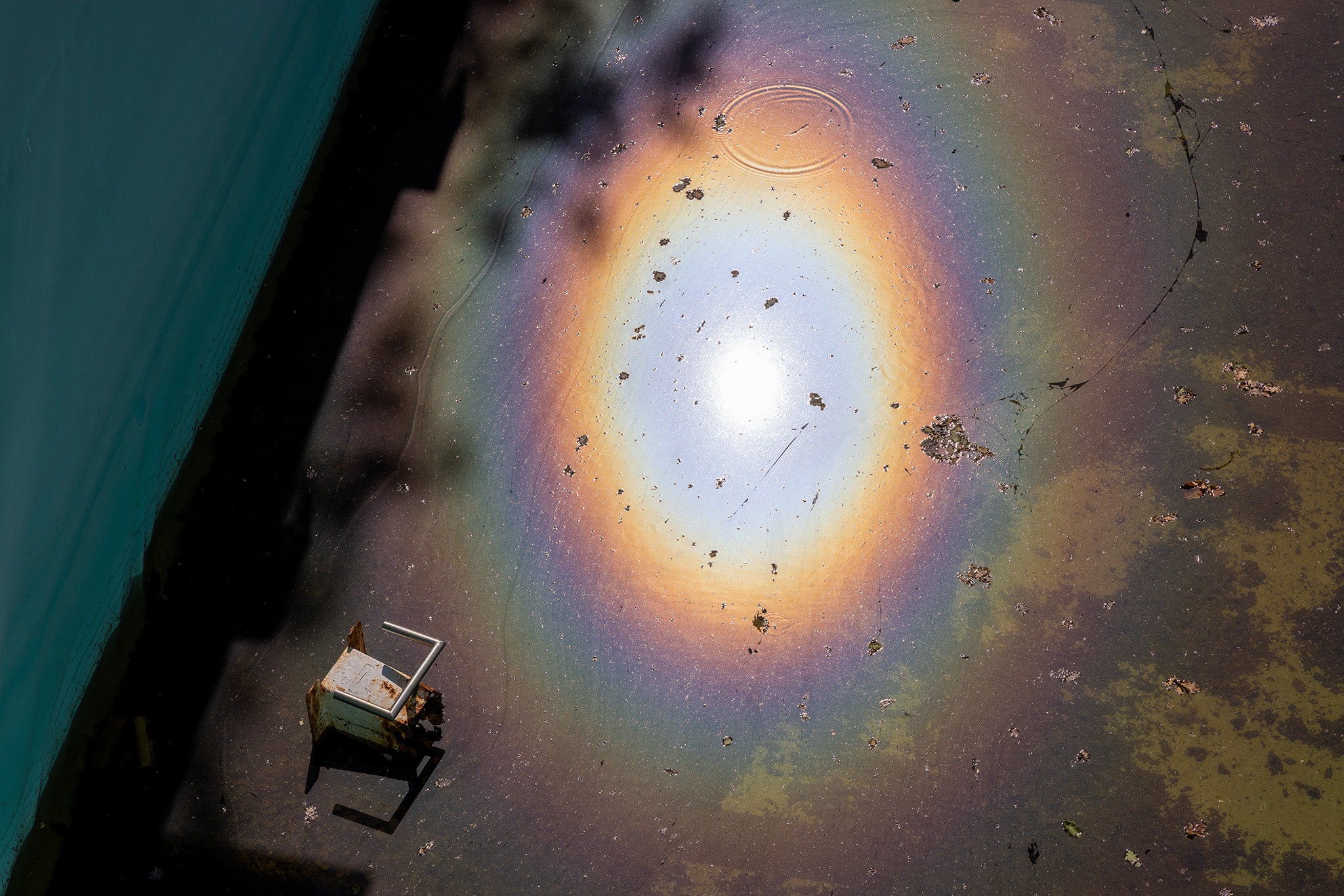 Slide image