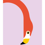 Flamingo - BUROMURO