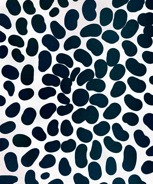 flow II meeting point - BUROMURO